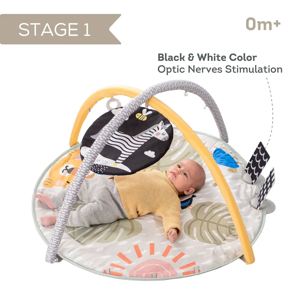 12785 Savanah 360 Play Gym 2000x2000 Amazon-03 copy.webp