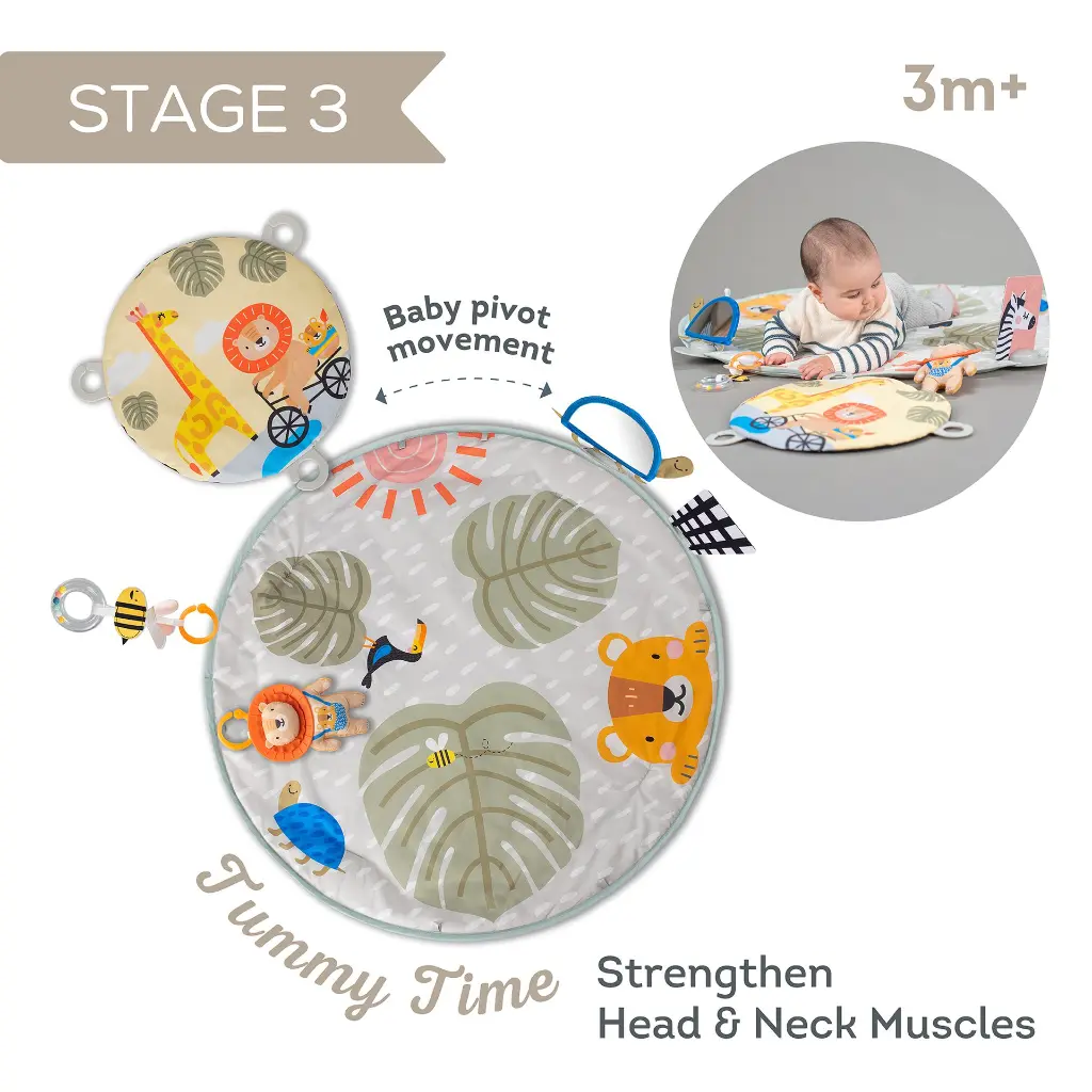 12785 Savanah 360 Play Gym 2000x2000 Amazon-05 copy.webp