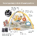 12785 Savanah 360 Play Gym 2000x2000 Amazon-02 copy.webp