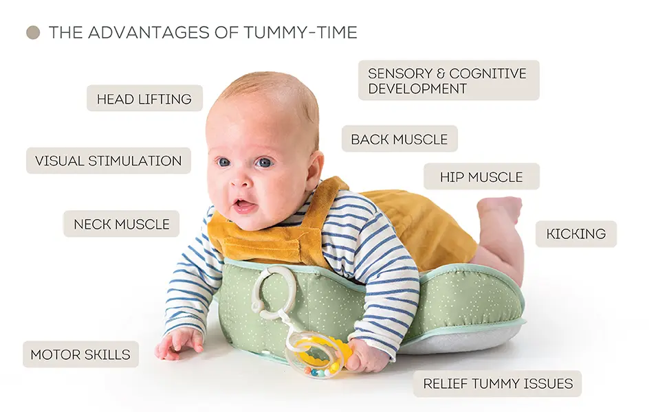 12895 Savannah pillow 970x600 amazon-06 copy.webp