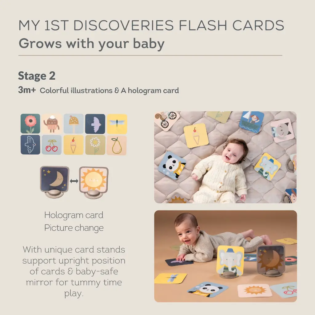 13945_My1stDiscoveriesFlashCards-04.webp