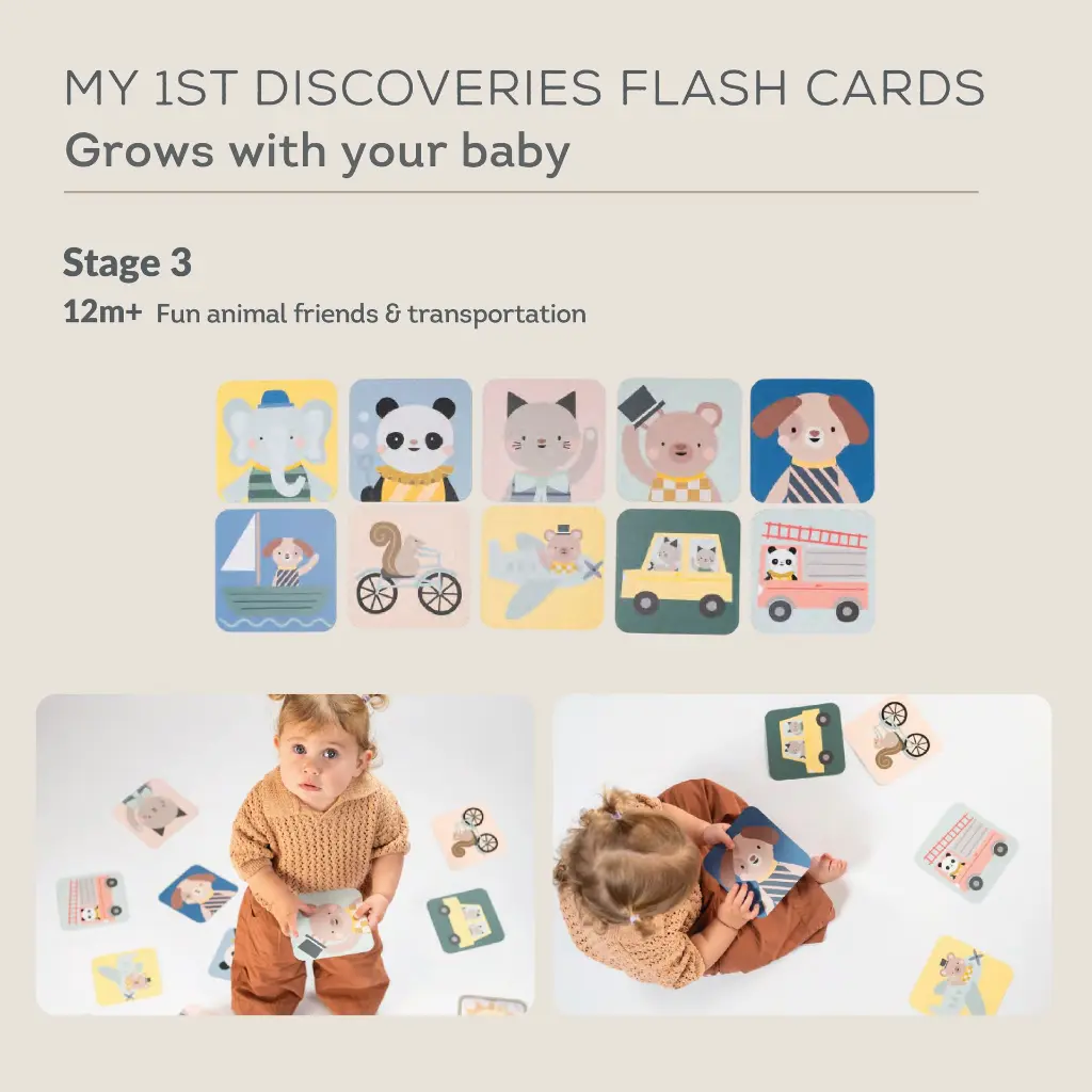 13945_My1stDiscoveriesFlashCards-05.webp