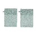 Washandjes 2 Stuks Sepp | Groen