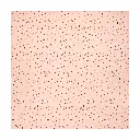 Lingette Hydrophile 110x110cm Sweet Butterfly | Rose