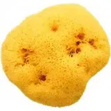 Sea sponge Silk Fine Small