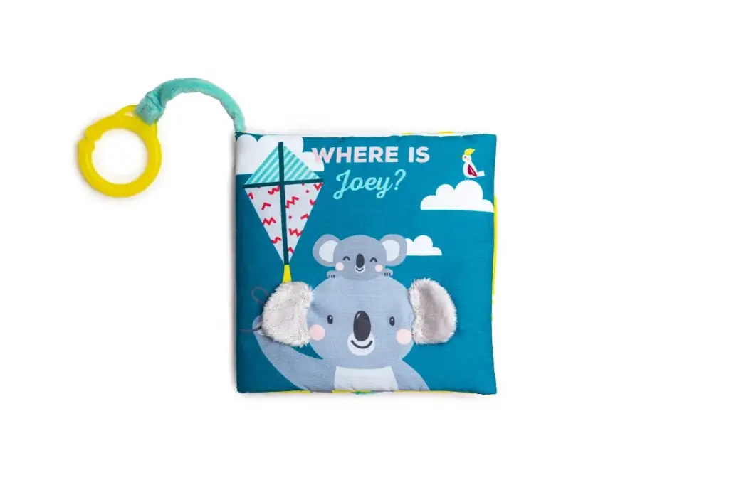 Where Is Joey Book