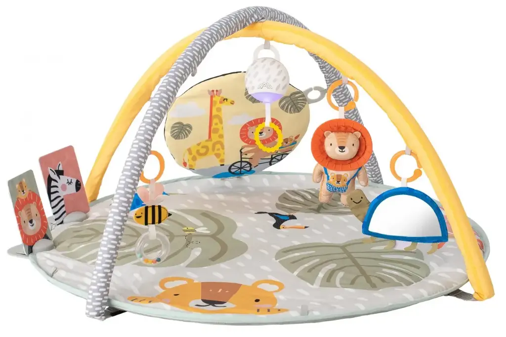 Savannah 360° Activity Gym