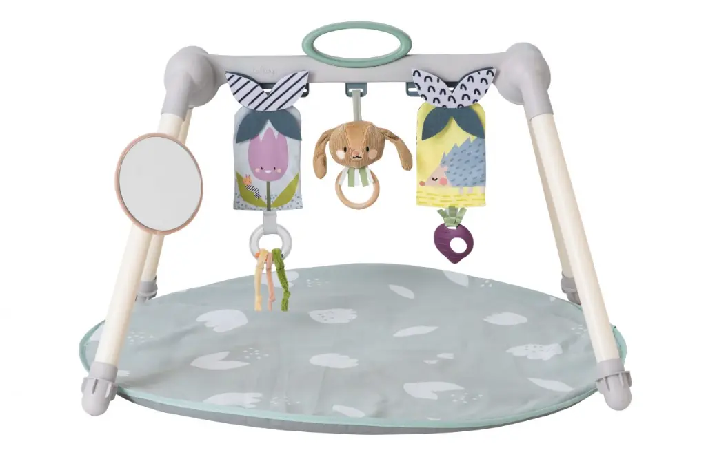 Urban Garden Foldable Gym