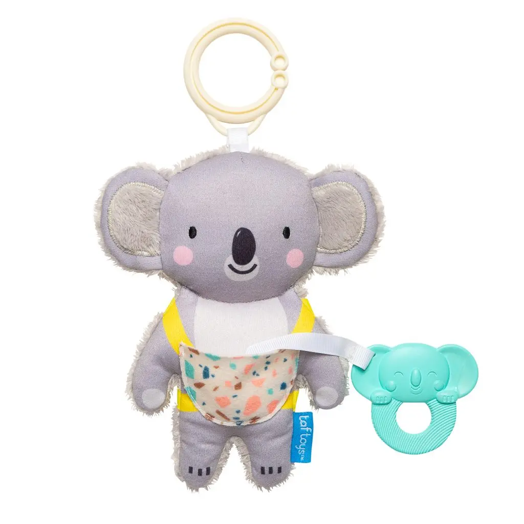 Kimmy The Koala