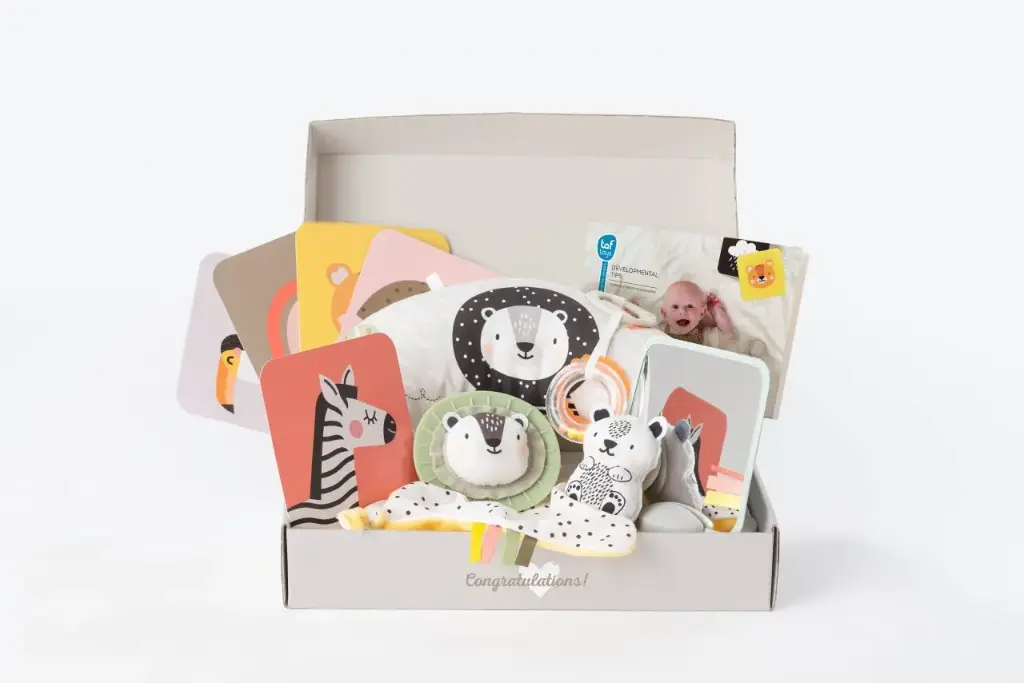 Newborn Develop & Play Kit