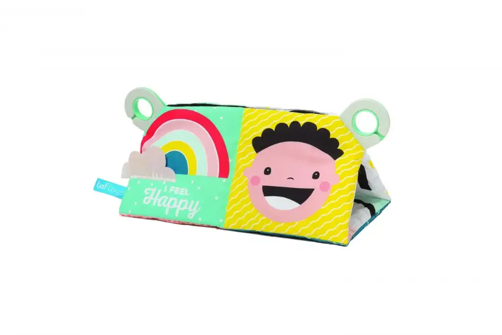 My Feelings Crinckle Toy