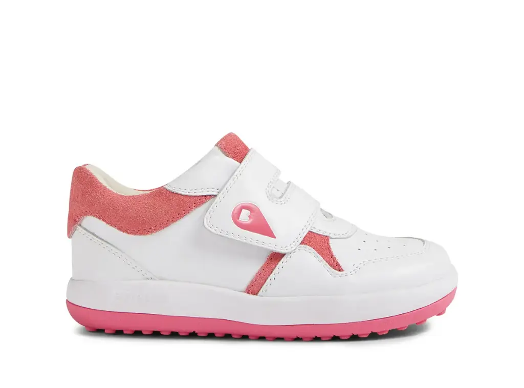 IW Baseline White-Pink Cyclemen
