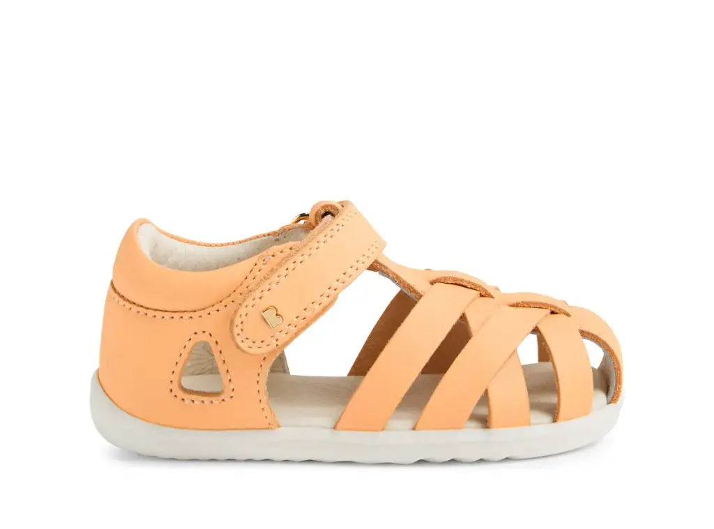 SU Tropicana II Peach Jelly | Oranje
