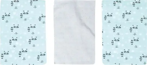 [0L050-17] Wash mitts Muslin 3 Pieces Racoon Mint | Mint