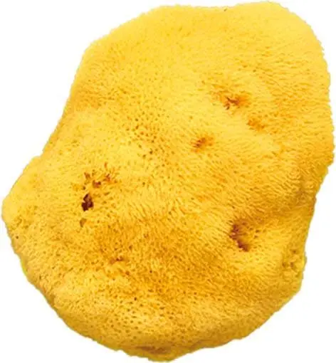 [02224-00] Sea sponge Silk Fine Large