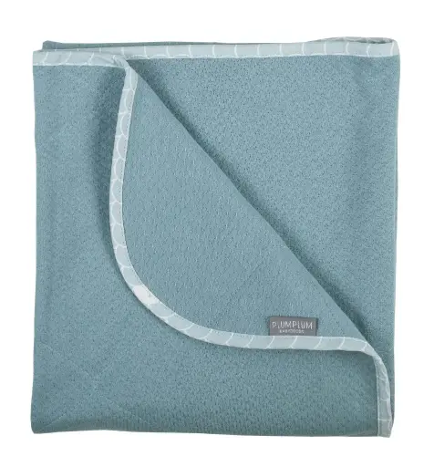 [01301-212] Couverture 75x100cm Bears | Menthe