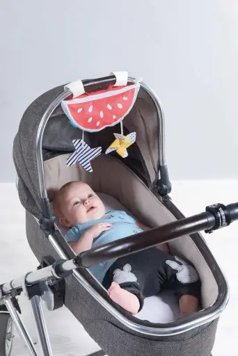 [12155-TAF] Watermelon Sun Shade