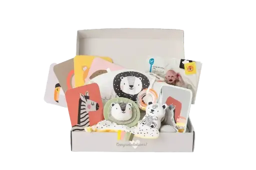 [12915-TAF] Newborn Develop & Play Kit