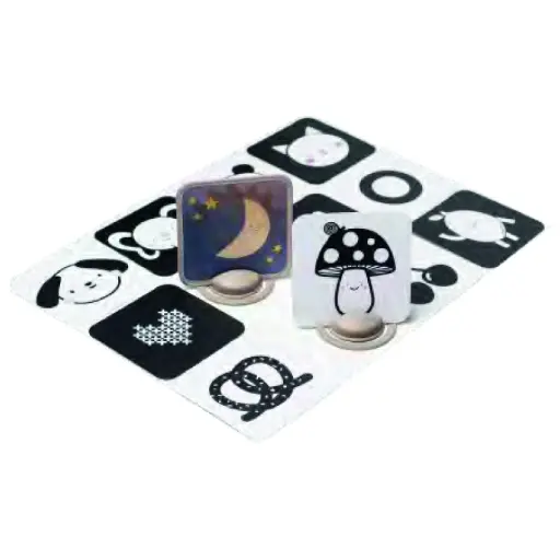 [13945-TAF] My 1st Discoveries Flash Cards